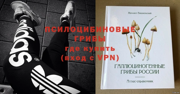 ешки Абаза