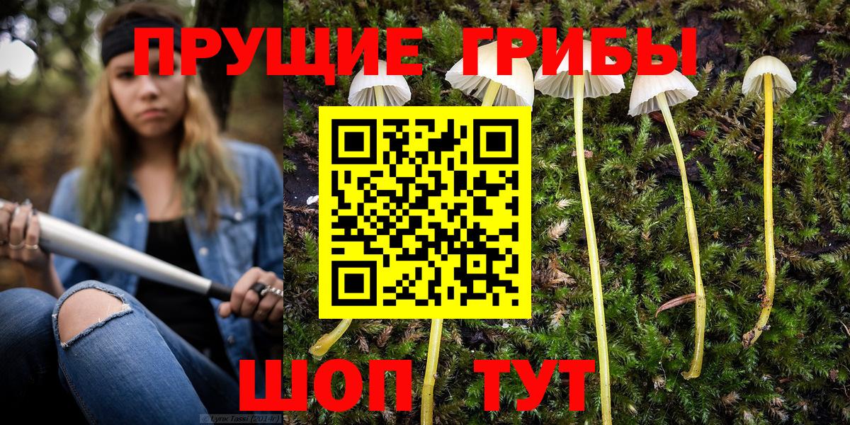 Псилоцибиновые грибы мицелий Когалым